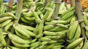 How to prepare beans and plantain porridge. Top And Amazing Health Benefits Of Unripe Plantain Clacified
