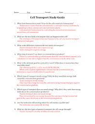 Start studying homeostasis and cell transport skills worksheet vocabulary learn vocabulary terms and more with flashcards games and other study tools. 31 Cell Transport Worksheet Answers Worksheet Project List