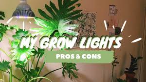 How reliable this is will depend on how humid/warm your rooms are. My Grow Light Setup Grow Lights For Houseplants Pros Cons Youtube