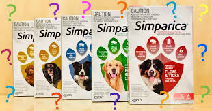 Simparica Bravecto Nexgard Seizures Walkerville Vet