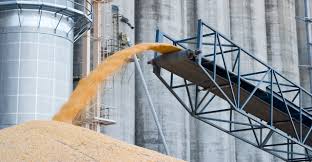 Kansas grain commodity commissions choose new leaders
