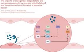 Image result for Fourth Generation Progestin