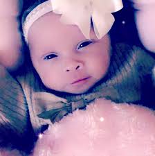 Hello I'm looking for a handy man to cut down some hedges in my front and  back garden doesn't have to be a gardener but someone who knows what they  are doing