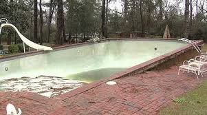 Planting different flower trees, shrubs, and tall trees cover up the whole poolside area like a green carpet. Why Concrete Swimming Pools Pop On Of The Ground My Pool Guy