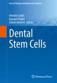 Nuotrauka automobilių remontas ir priežiūra. Dental Stem Cell Differentiation Toward Endodermal Cell Lineages Approaches To Control Hepatocytes And Beta Cell Transformation Springerlink