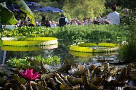 Maybe you would like to learn more about one of these? Runde Vom Rohrensee Uber Jagdschloss Thiergarten Zum Botanischen Garten Bayreuth Gps Wanderatlas