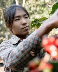 From the land of a thousand hills. Looking forward to this year's harvest  from Rwanda