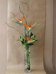 Same day flower delivery johnstone florists by hendersons florist your local flower shop, send flowers, wedding flowers & funeral flowers. Bird Of Paradise Flower Arrangements