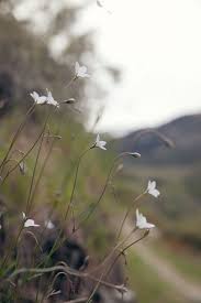 Wit Whistle Art Bloggers Vacation Photos Creative Lifestyle Blog