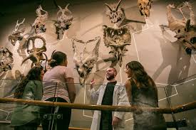 Top Salt Lake City Attractions Start At The Natural History Museum Of Utah Visit Usa Parks