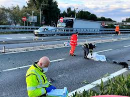 نتیجه جستجوی لغت [accident] در گوگل