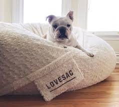 Pin On Adorable Animals