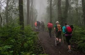 Hikers walking together on a mountain trail