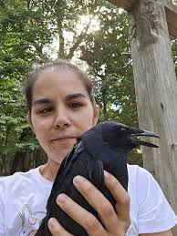 Crow Rescue and Interaction Experience