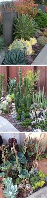 Succulent Garden Archives Page 2 Of 11 Great Yard Ideas Succulent Garden Landscape Drought Tolerant Garden Succulents Garden