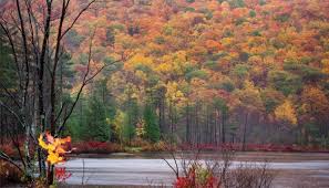 We biked the catherine valley trail, the seneca cayuga canal trail, and the keuka lake outlet trail on this trip and. Favorite Hikes On The Finger Lakes Trail Life In The Finger Lakes