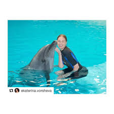 Pin On Dubai Dolphins 2018