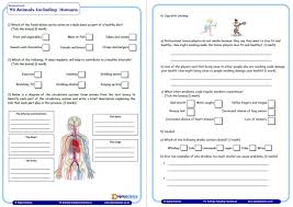 Printable science worksheets for teachers. Year 6 Science Assessment Worksheet With Answers Humans Including Animals Teachwire Teaching Resource