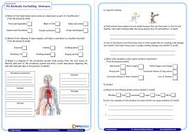 Free printable worksheets and coloring pages. Year Science Assessment Worksheet With Answers Humans Including Animals Teachwire Home Budget Excel Sheet Nursery Pattern Writing Pdf Budgeting Handout Free Printable Bi Weekly Length 1 Calamityjanetheshow