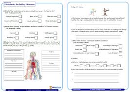 Write the sentences in the video, rob uses 'going to' + infinitive to talk about his resolutions. Year Science Assessment Worksheet With Answers Humans Worksheets For Grade Y6 Animals Science Worksheets For Grade 5 Worksheets Test Template Free Kumon 6th Grade Math Math Puzzles For Middle School Position Math