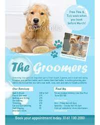 Dog Groomers A6 Leaflets Dog Groomers Groomer Dog Grooming Business