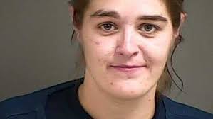 Sheriff: 9 arrested as deputies search 'stash houses' linked to burglaries