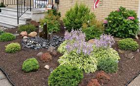 Slow Growing Shrubs Create Low Maintenance Garden Backyard Is Full Of Pere Low Growing Shrubs Low Maintenance Plants Landscaping Low Maintenance Garden Plants