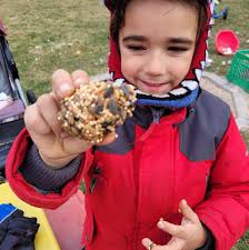 Little Sprouts School