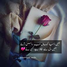 Pin De محبت درد ہے En محبت درد ہے En 2020