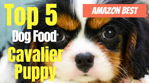 The best dry dog foods should have a high percentage of meats and fish in. Best Dog Food For Pug Puppies Best Food For Pugs Youtube