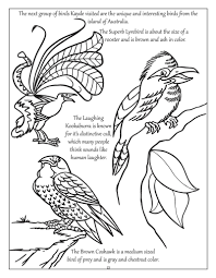 Supercoloring.com is a super fun for all ages: Kookaburra Coloring Pages Coloring Home