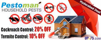 ✆ 8187800555, our vepon pest control technician can do best quality termite control service in hyderabad, export in pest control it's like ants in color white, it looks too terribly cool and calm in behind the wood and mud tubes. Pestoman Pest Control Services Hyderabad Cockroach Control Deals 2021