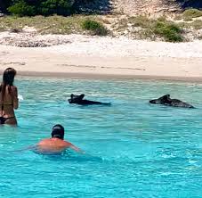 Oggi bagno all'isola di Spargi con i... - Cristiano De André | Facebook