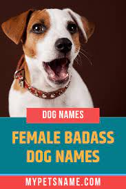 Female Badass Dog Names Dog Names Female Dog Names Female Dog Names List