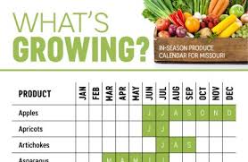 Missouri Agriculture Farm Flavor