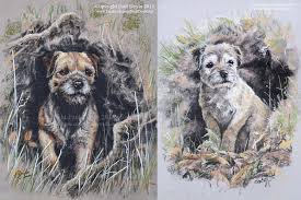 Looking for a border terrier pup, midwest area | (self.borderterrier). Accueil Kennel Aiga Viva Elevage Passionne De Border Terrier Chien De Chasse Hunting Show Et Compagnie