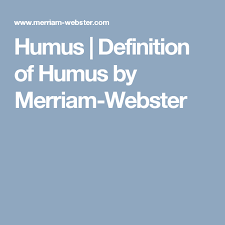 Humus Definition Of Humus By Merriam Webster Definitions Merriam Webster Jaeger