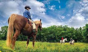 Forsyth County Pilot Mountain State Park Horseback Riding Hiking Places