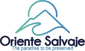 Diet alone can't treat fibroids. Keto Diet For Adult Weight Loss Are Exercise To Lose Weight