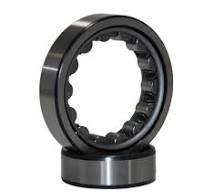 [Hot Item] Rn309m Cylindrical Roller Bearing Brass Cage Eccentric Bearing  Rn309m