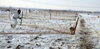 Ideal adoptat la conditiile climatice ale moldovei, si foarte repede se inmultesc in conditii de padure, nu necesita vaccinare (daca se intretine in stare libera in ntura, padure etc). Angajati Sa Prinda Iepuri Salbatici Cu Miinile Goale