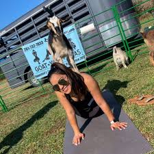 Do Yoga With Baby Goats At This Backyard Pub In Houston - Secret Houston