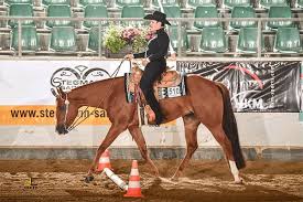 Dec 3 2016 this pin was discovered by daily tattoo ideas. Goo 22 09 2020 Western Riding Westernreiter Com