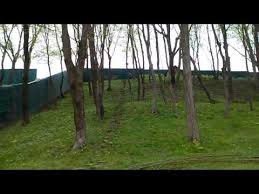Батько — василенко микита кімович — викладач кну. Video Yanukovich Penki
