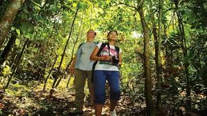 We are tour operator located in taman negara 10 Top Things To Do In Kuala Tahan 2021 Attraction Activity Guide Expedia