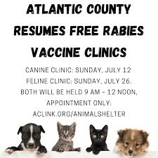On the other hand, a separate clinic may also be available in your area with the sign. Free Rabies Vaccination Clinics Township Of Galloway Facebook