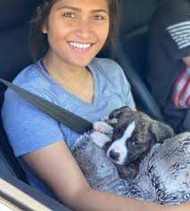 Pitbull puppy adoption process