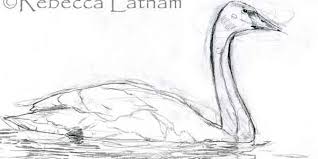 Pencil Sketches 60 Fantabulous Collection Design Press We used server side scripts to convert photo to pencil sketch, because its quite easier to apply set of process while drawing pencil sketch image. pencil sketches 60 fantabulous