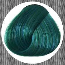 Maybe you would like to learn more about one of these? La Riche Directions Alpine Green 89ml Haartonung 4 90