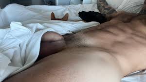 pendeloco @pendeloco - Twitter Profile | TwStalker